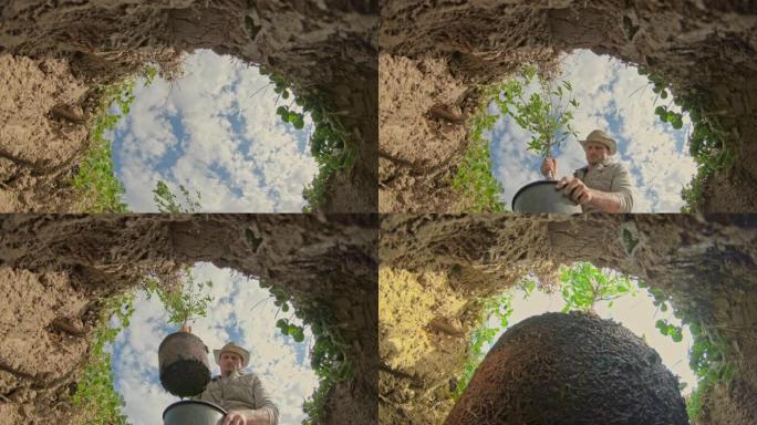 男子女士在地面上的洞中种植果树