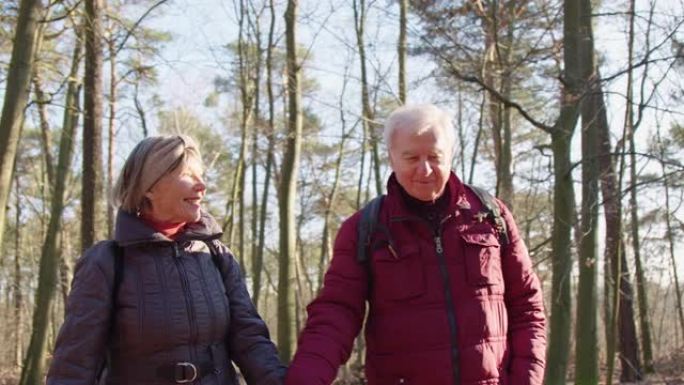 幸福的高级夫妇牵手在森林里徒步旅行