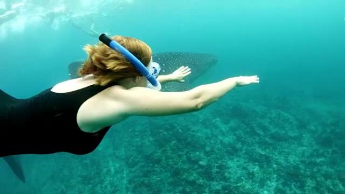 女士在马尔代夫的热带海洋中与鲸鲨一起浮潜