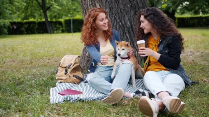 美丽的姐妹们说着抚摸着坐在公园草坪上享受夏天的狗
