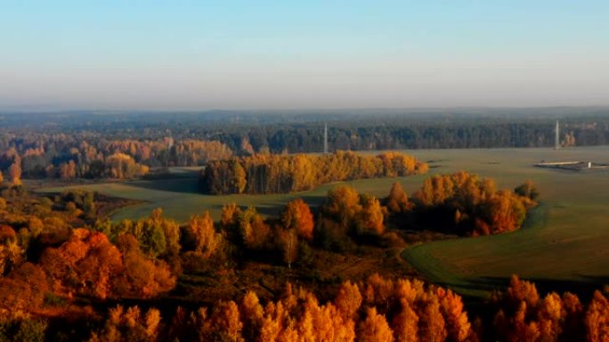 无人机在阳光明媚的秋天日落田野和黄色树木的森林上空飞行，白俄罗斯美丽的野生自然全景。