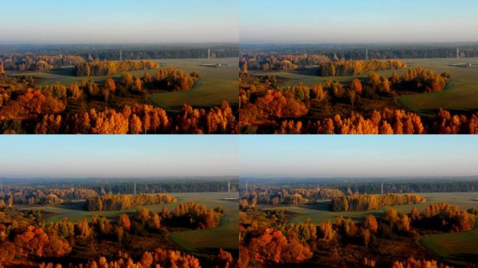 无人机在阳光明媚的秋天日落田野和黄色树木的森林上空飞行，白俄罗斯美丽的野生自然全景。
