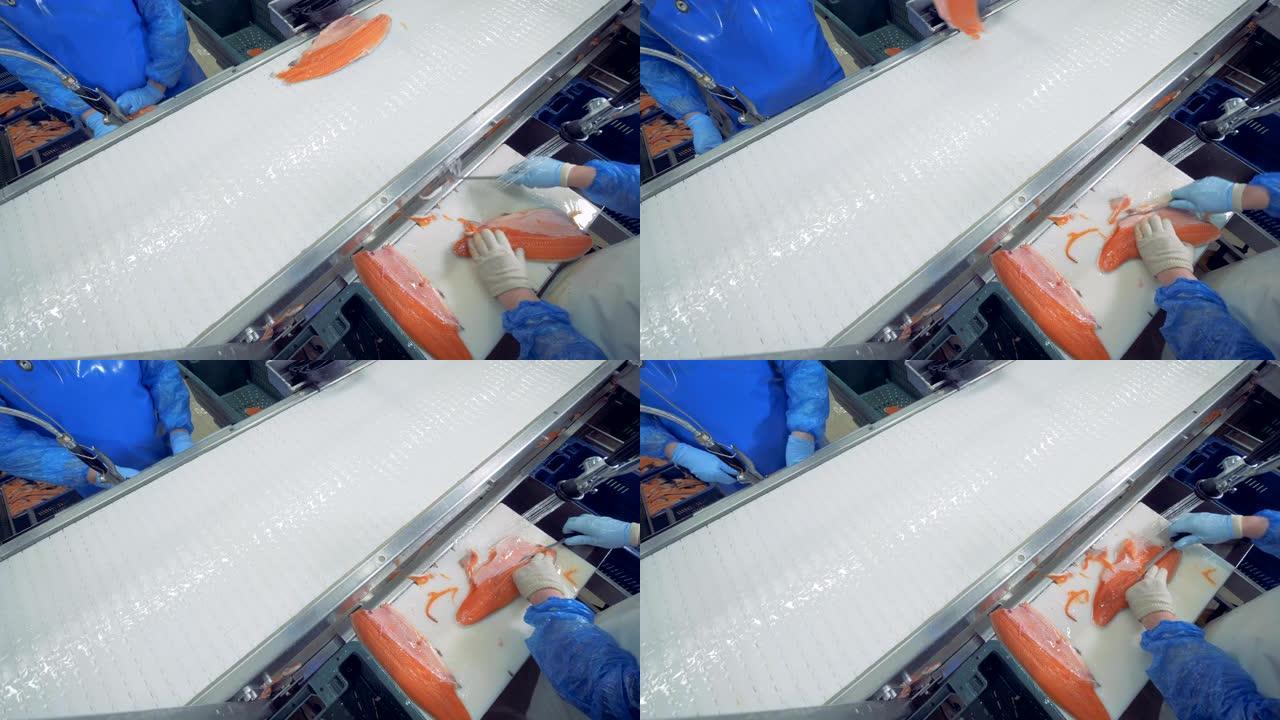 在工厂加工时切成薄片的鱼的俯视图