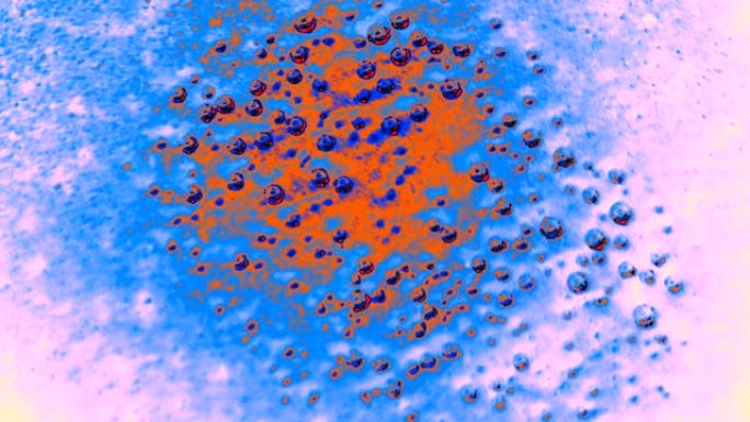 显微镜下生长的细菌菌落