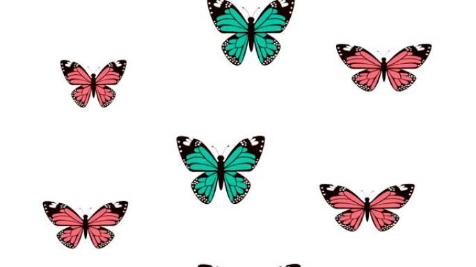 美丽的蝴蝶飞行图案动画