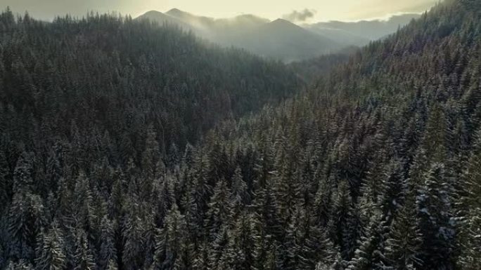 冬季山脉和被雪覆盖的森林的空中拍摄。4K, UHD