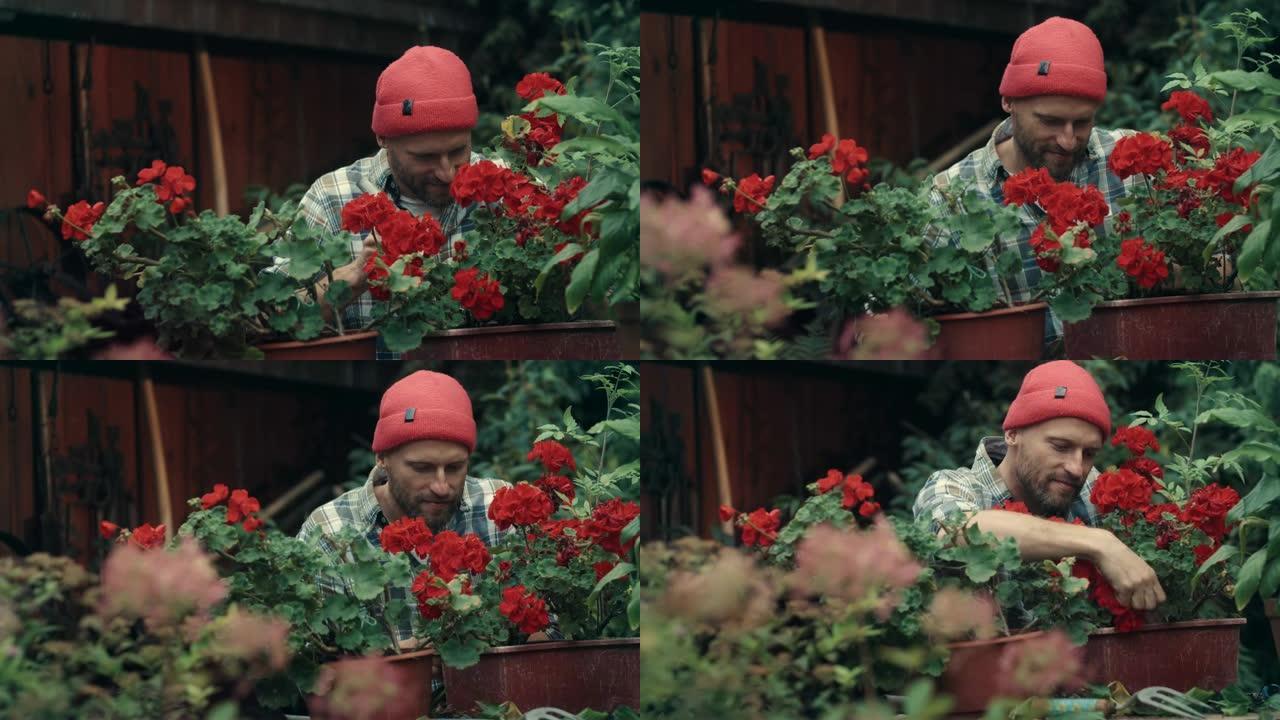 男人在花园里种花