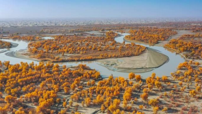 新疆鸟瞰图特写空镜植被覆盖
