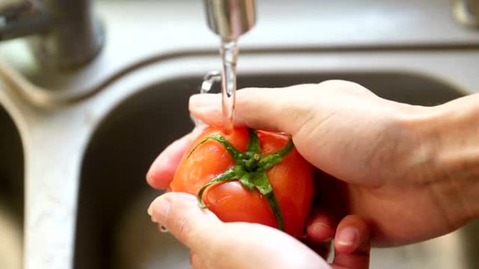 洗番茄清洗冲水厨房作业水池水槽自来水