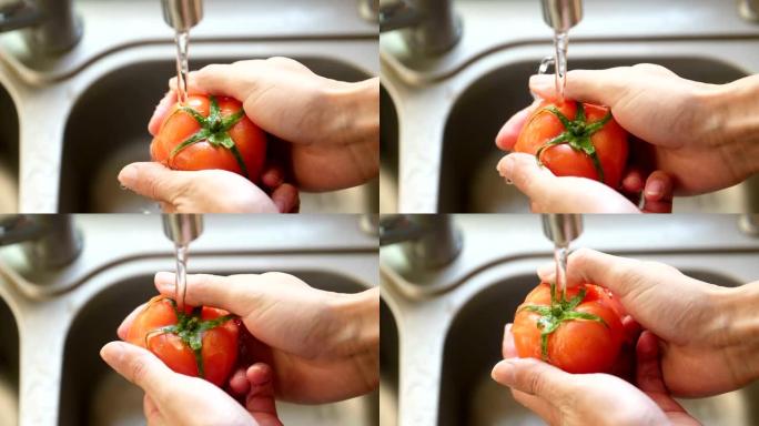 洗番茄清洗冲水厨房作业水池水槽自来水