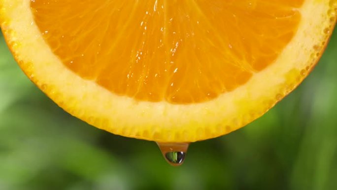 实时:从茂密的树叶上的橙子片上滴下的水滴