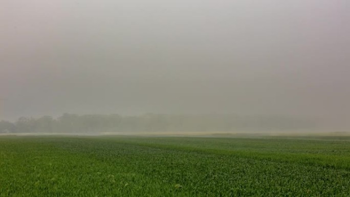 T/L雾漂浮在耕地上