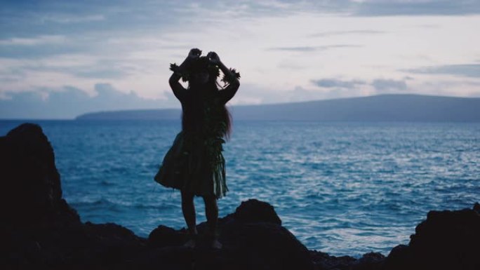 传统夏威夷草裙舞舞者的剪影