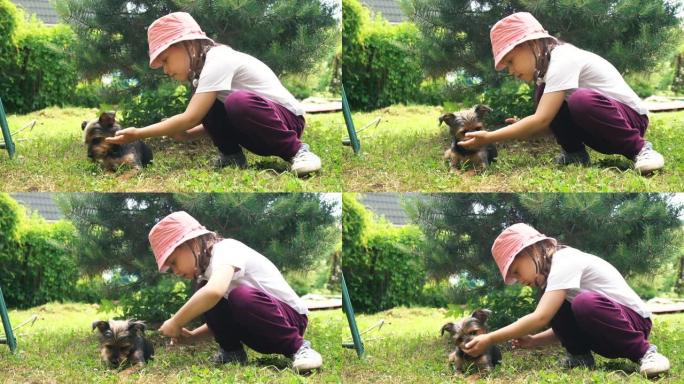 可爱的女孩和一只小狗玩得开心