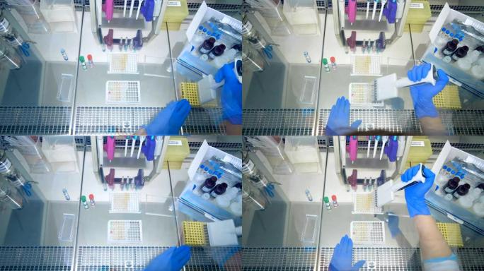 实验室专家正在将血浆样品重新放置在调色板之间