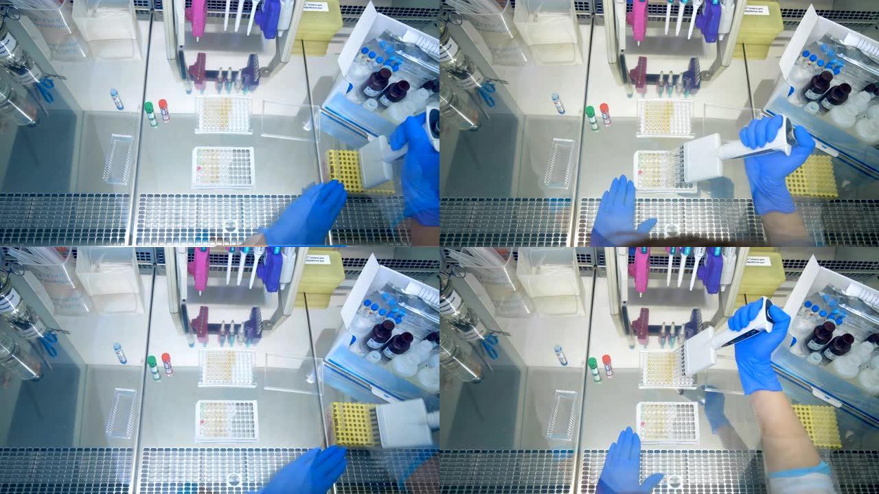 实验室专家正在将血浆样品重新放置在调色板之间