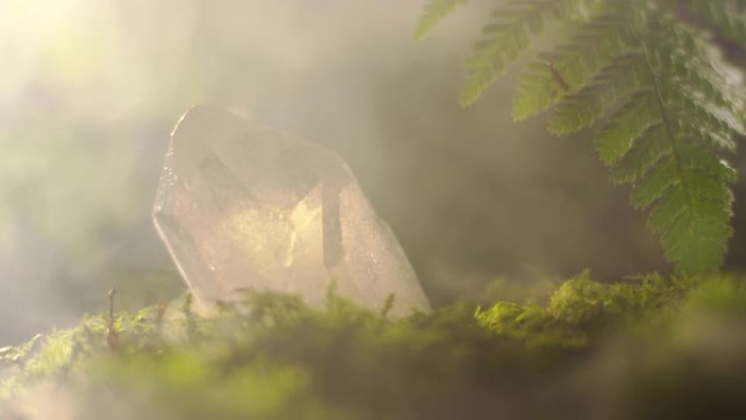 苔藓上的水晶