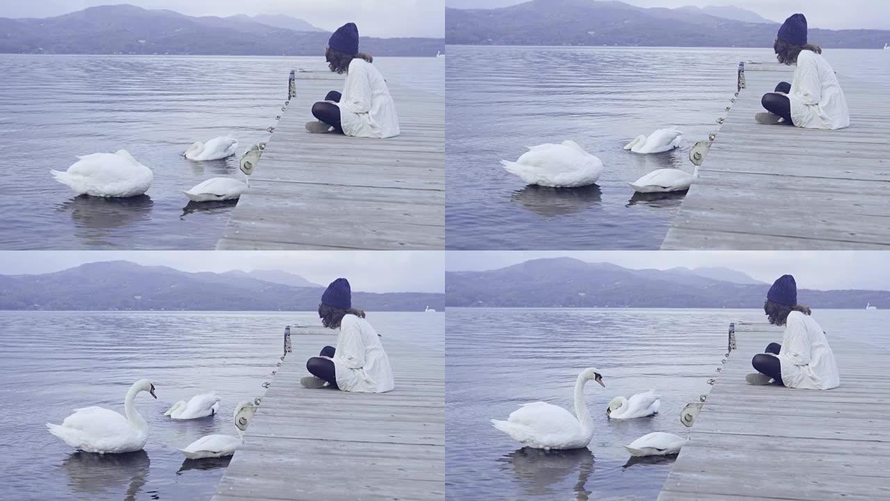 亚洲旅游妇女与天鹅坐在川口湖