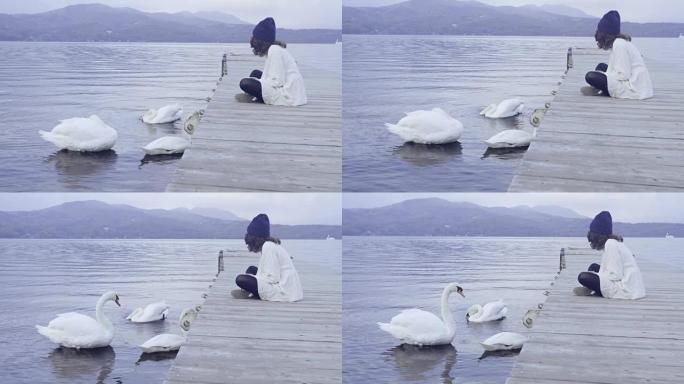 亚洲旅游妇女与天鹅坐在川口湖