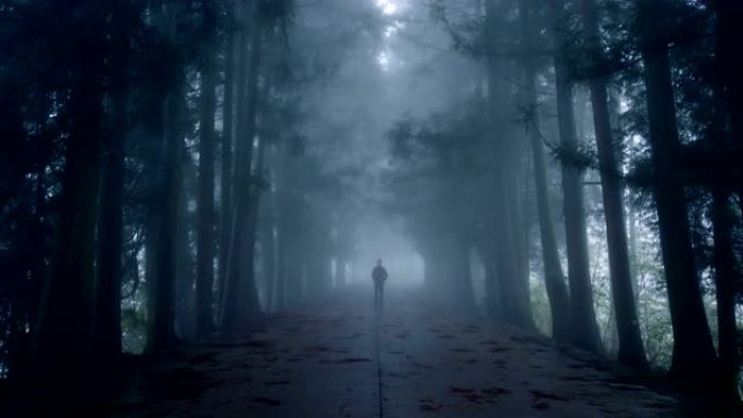 男子走在雾蒙蒙的路上
