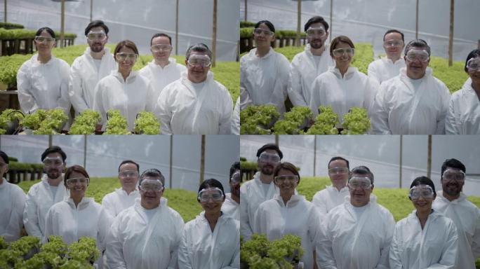 在莴苣作物上工作的人员团队穿着防护工作服，对着镜头微笑