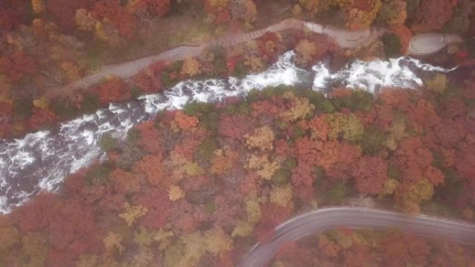 空中射击: 秋天的森林与小溪瀑布