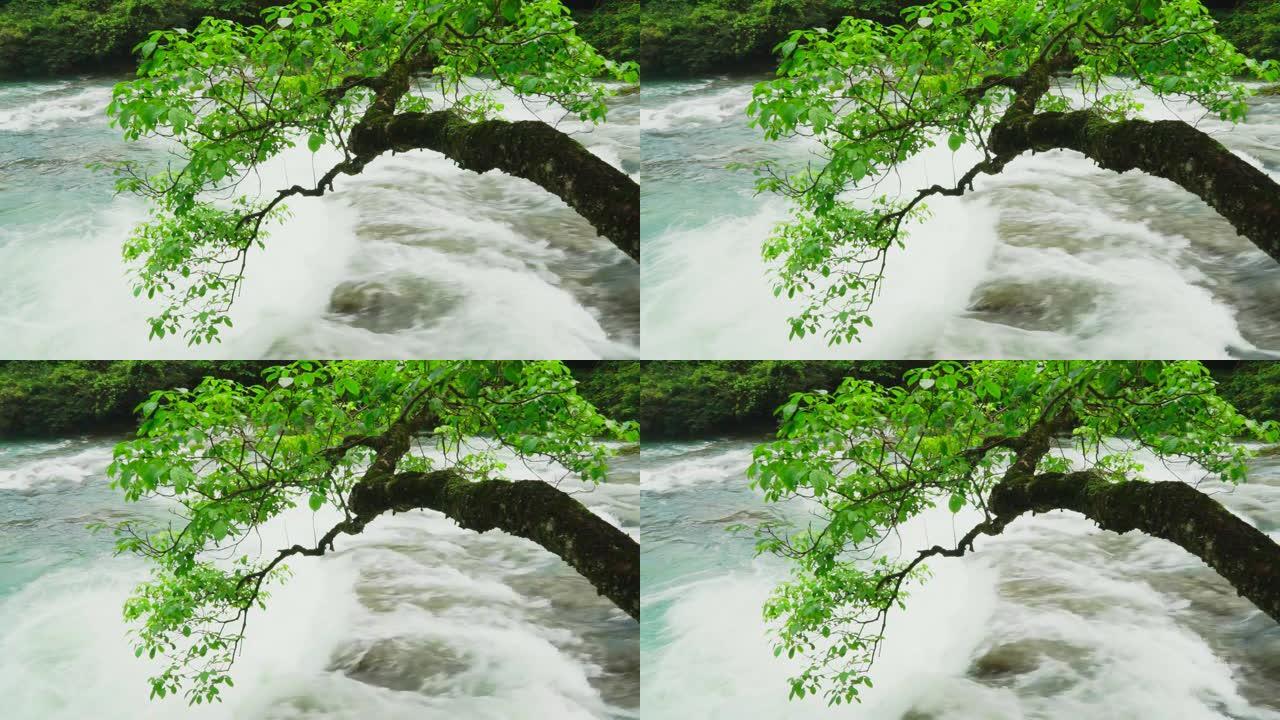 贵州的瀑布