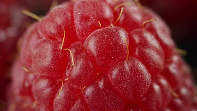 大量的覆盆子，通常用于果酱，糖浆和果冻的水果。覆盆子含有大量的维生素c和利尿功能。
