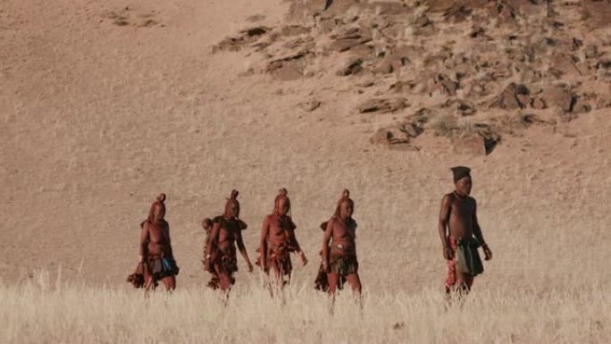 在纳米比亚纳米布沙漠中行走的希姆巴人的4K画面