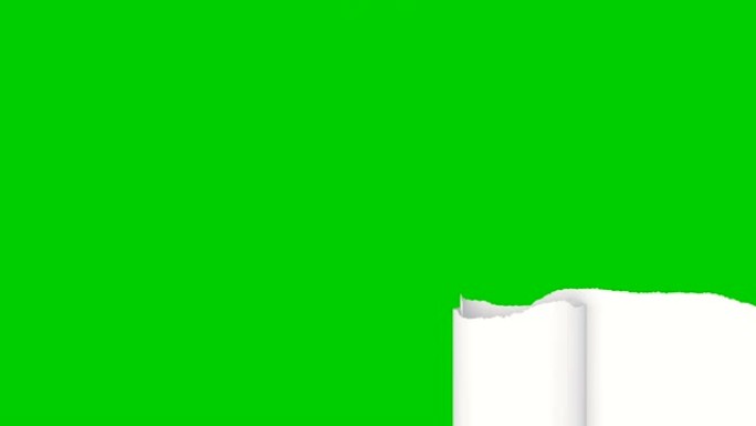 白纸撕成横条，卷起打开屏幕。美丽的3d动画抽象纸在绿色屏幕上断裂。阿尔法面具。