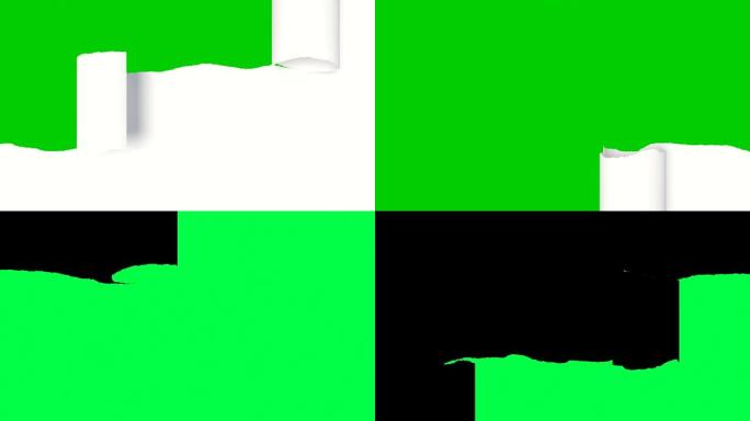白纸撕成横条，卷起打开屏幕。美丽的3d动画抽象纸在绿色屏幕上断裂。阿尔法面具。