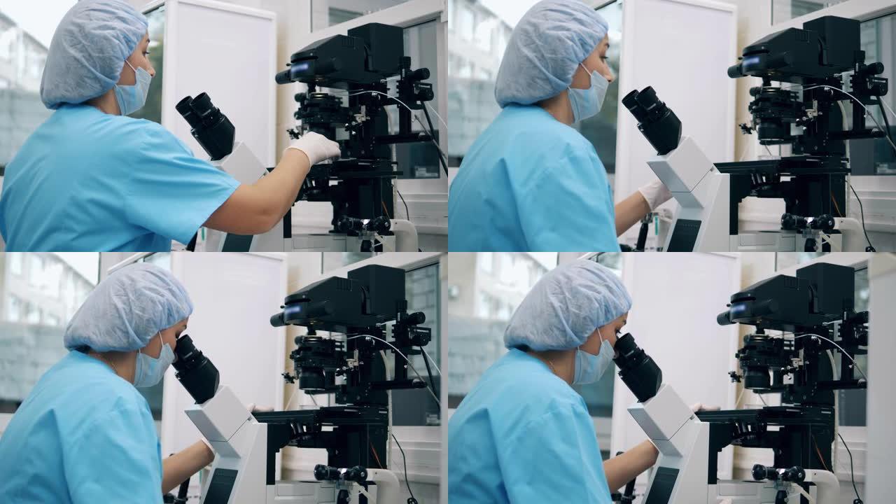 女专家，医学实验室工作人员正在显微镜下观察物质