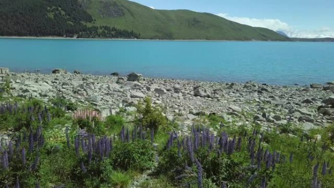 草甸和冰川湖的风景无人驾驶飞机拍摄