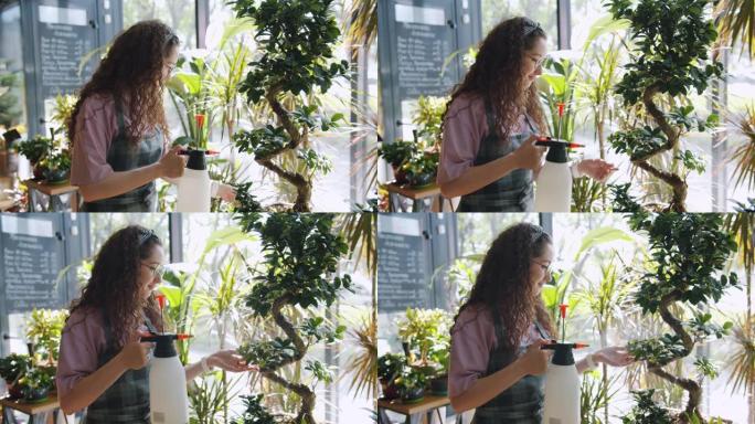 迷人女孩在围裙中慢动作喷洒在花店中的绿色植物