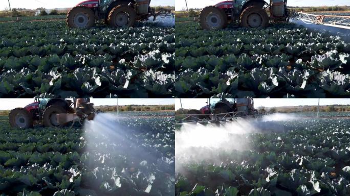 大型蔬菜农场上的拖拉机向农作物喷洒农药的特写镜头