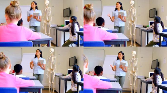 亚洲女教师讲解教室4k骨骼模型