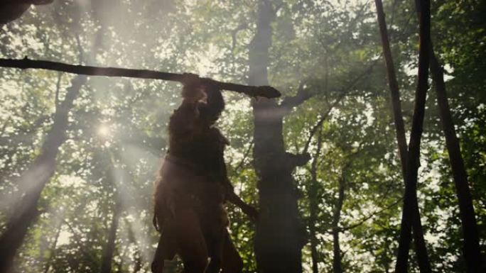 穿着动物皮的原始穴居人在史前森林周围握着石尖长矛，准备捕猎动物猎物。尼安德特人去丛林打猎。低角度慢动