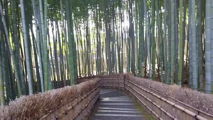 走道竹隧道命名为京都的岚山竹林，日本旅游地标