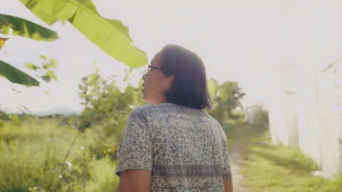 亚洲高级妇女正在温室水培花园里收获蔬菜。泰国。