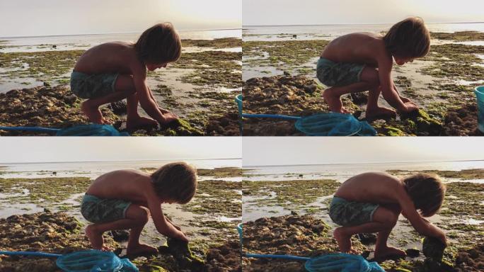 男孩在海滩上看着石头下的东西