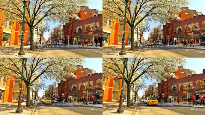 开花。大自然，树木。商店，商店，零售，金融区。道路上的黄色出租车。在美国纽约4月拍摄。