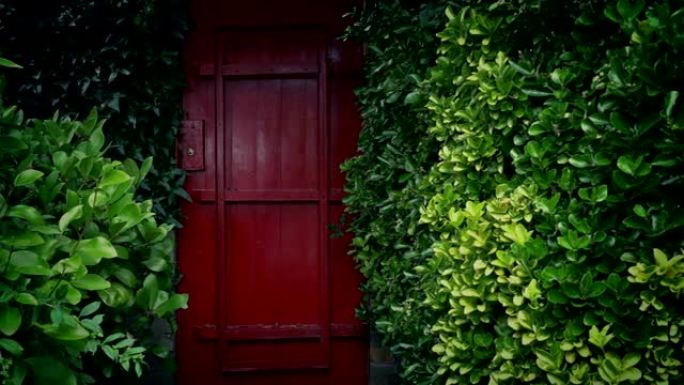 路过红色花园门植物包围的门后花园植物包围
