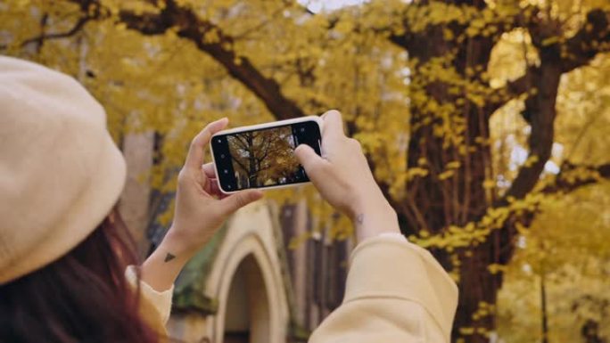 亚洲女性旅行者在日本用智能手机拍摄秋叶照片
