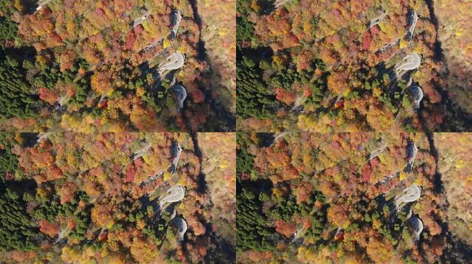 日本日光市秋季第一个Irohazaka蜿蜒道路被封锁的鸟瞰图。