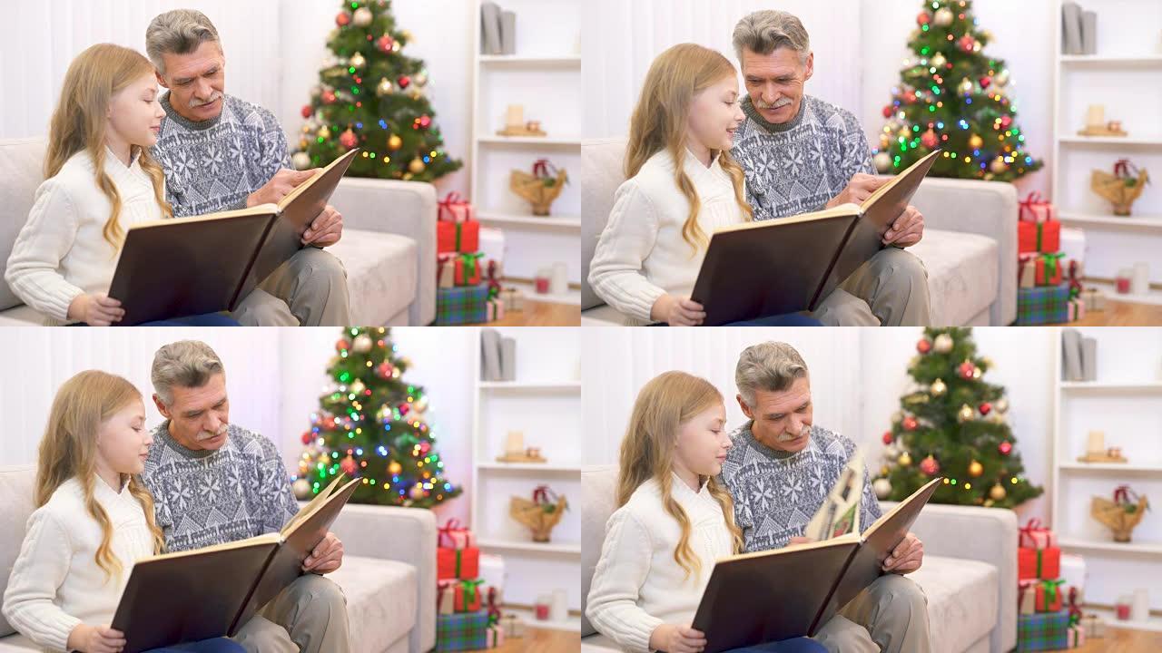 老人和一个女孩在圣诞树附近看相册