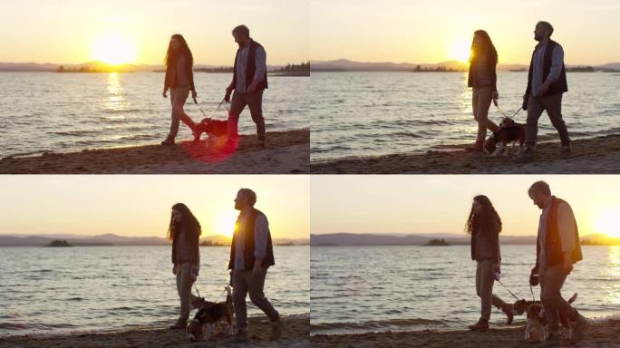 男人和女人在日落时与狗一起沿着湖岸散步