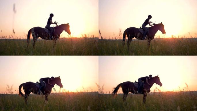 一名运动员坐在日落背景上的一匹马上。