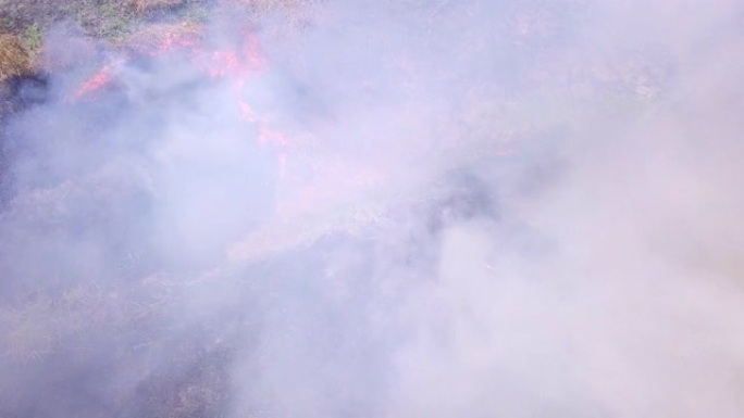 森林大火正在燃烧消防安全干旱少雨空气污染
