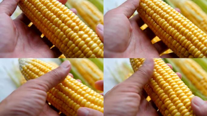 玉米新鲜食品在手玉米特写丰收一粒一粒