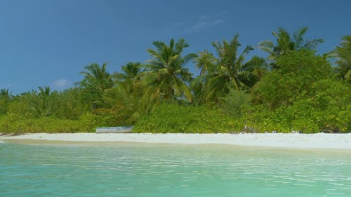 旧船滞留在马尔代夫偏远热带岛屿的绿色植物中。